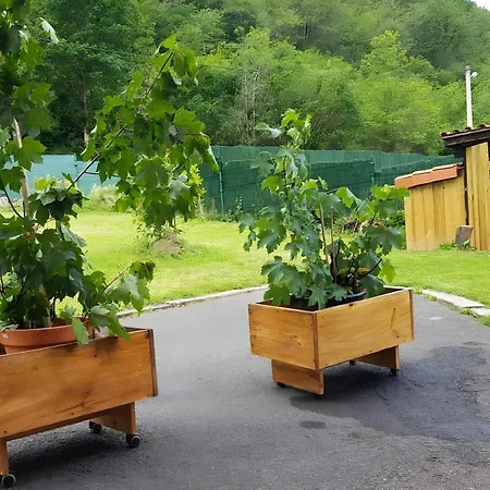 펜션 Casa Carmen La Vega de los Caseros